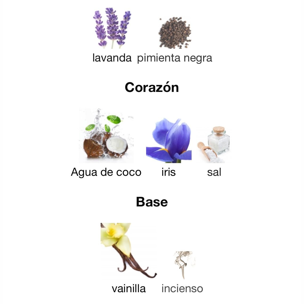 PERFUME LATTAFA ASAD ZANZIBAR EDP MASCULINO 100ML - Image 4