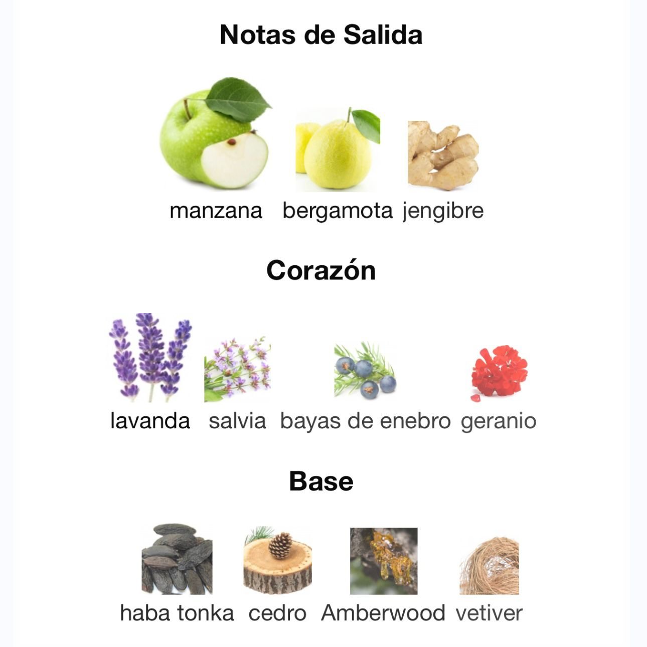 PERFUME LATTAFA FAKHAR BLACK EDP MASCULINO 100ML - Image 4