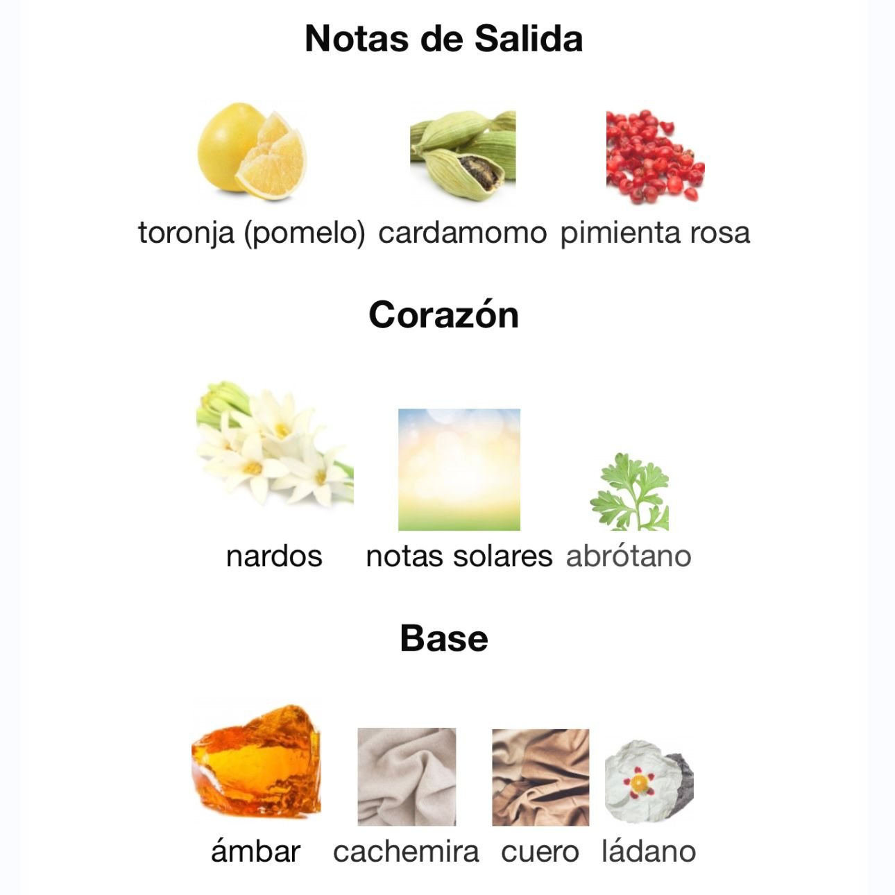 PERFUME LATTAFA FAKHAR EXTRAIT EDP MASCULINO 100ML - Image 4