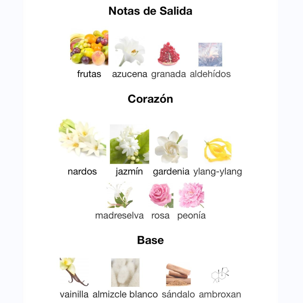 PERFUME LATTAFA FAKHAR ROSE EDP FEMENINO 100ML - Image 4