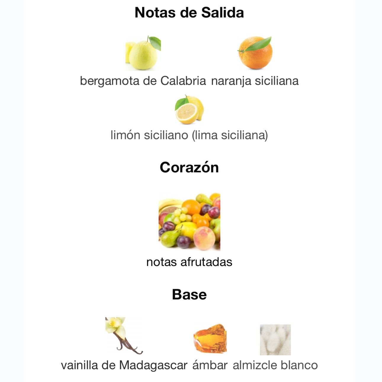 PERFUME PARIS CORNER EMIR VOUX TURQUOISE EDP UNISEX 100ML - Image 4