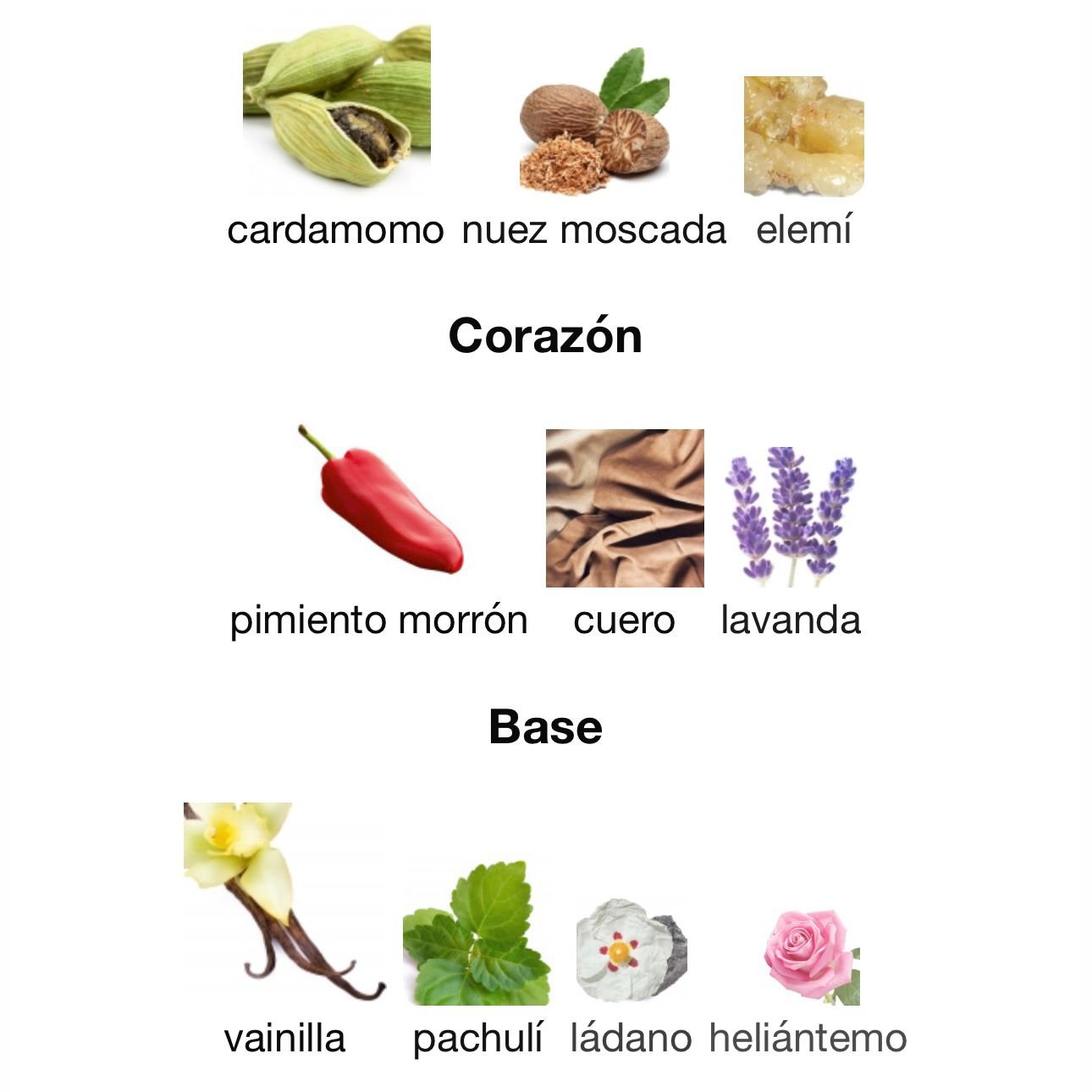 PERFUME AFNAN 9PM ELIXIR EDP UNISEX 100ML - Image 4