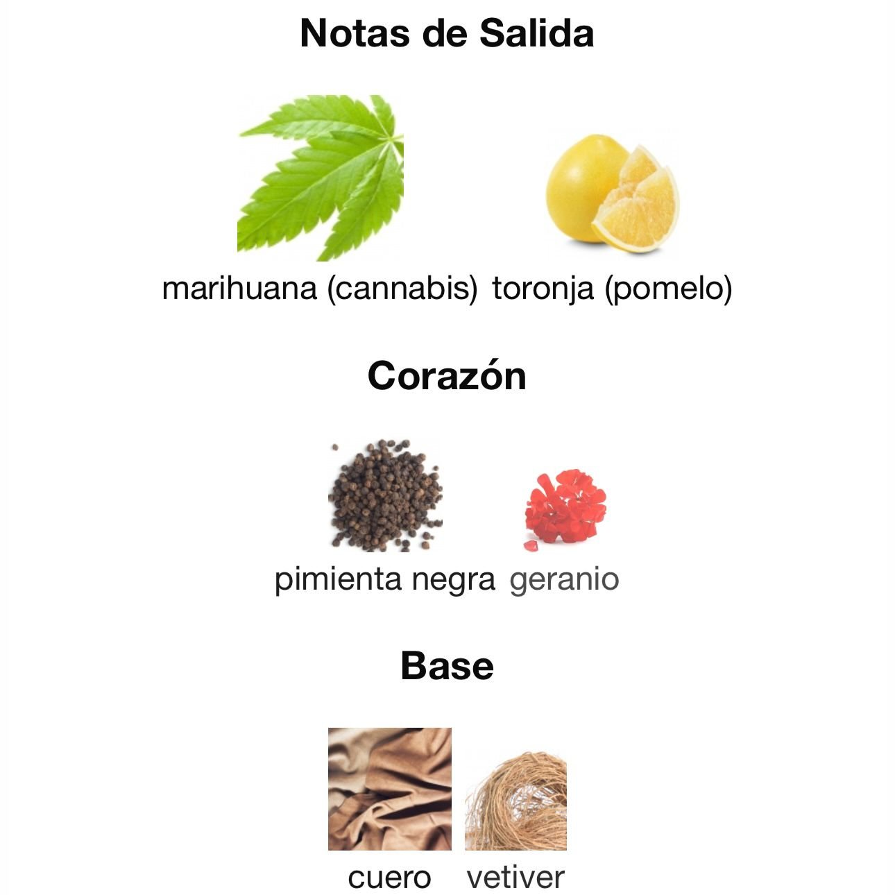 PERFUME CAROLINA HERRERA BAD BOY LE PARFUM MASCULINO 100ML - Image 4