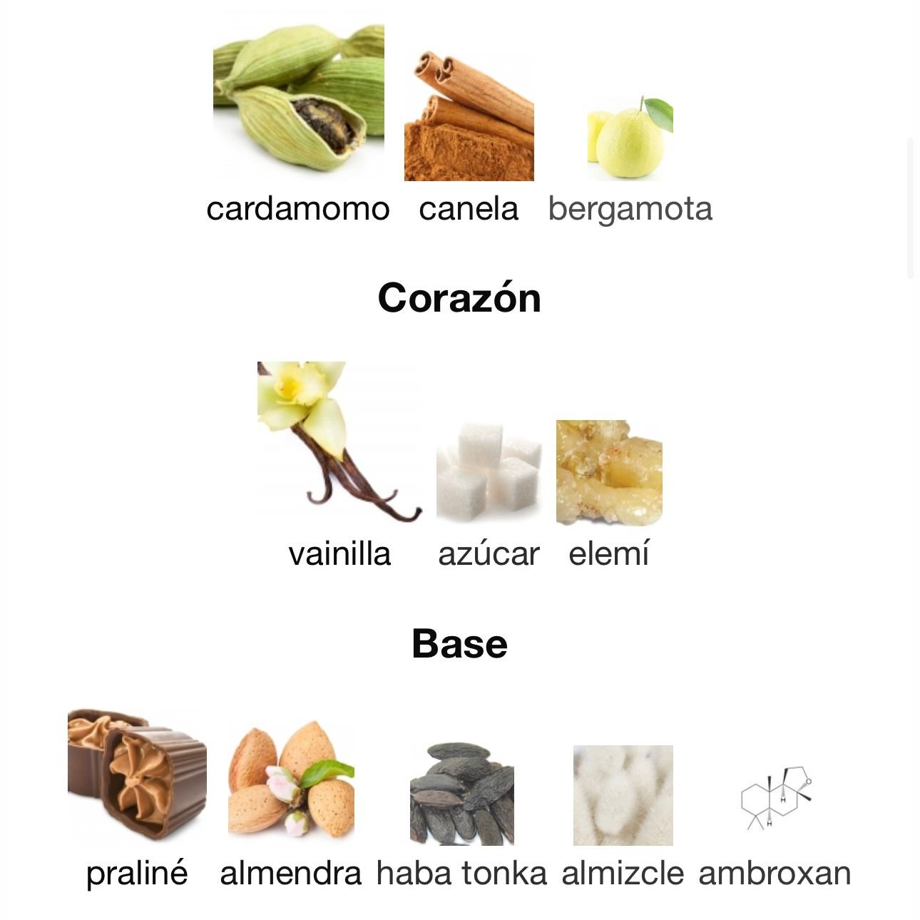 PERFUME AFNAN HISTORIC SAHARA EDP UNISEX 100ML - Image 4