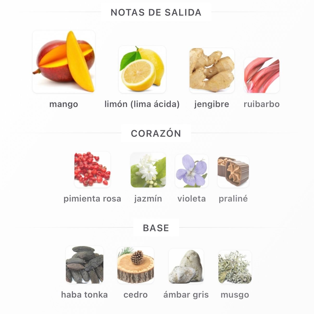 PERFUME FRENCH AVENUE VULCAN FEU EDP UNISEX 100ML - Image 4