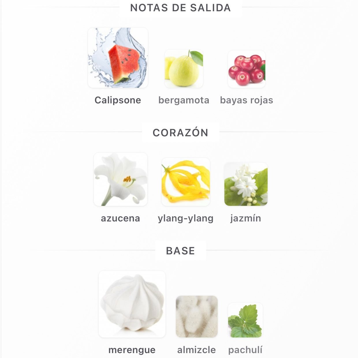 PERFUME JEAN PAUL GAULTIER DIVINE EDP FEMENINO 100ML - Image 4