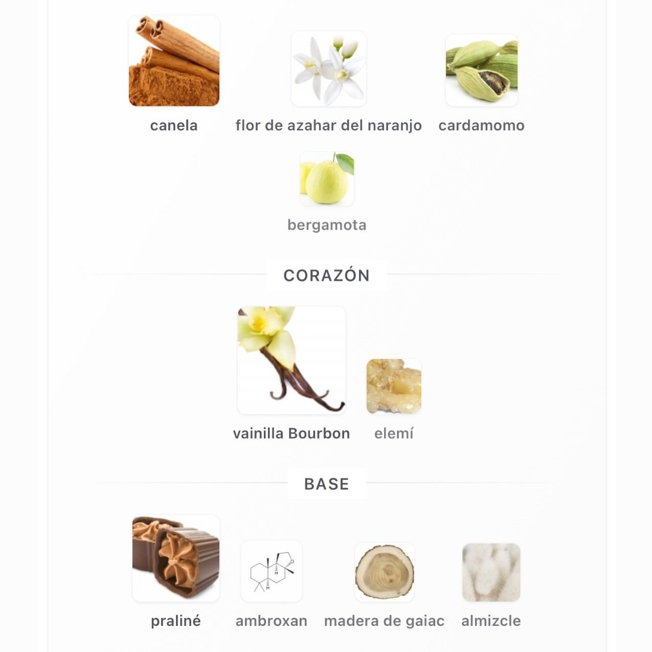 PERFUME FRENCH AVENUE LIQUID BRUN EDP UNISEX 100ML - Image 4