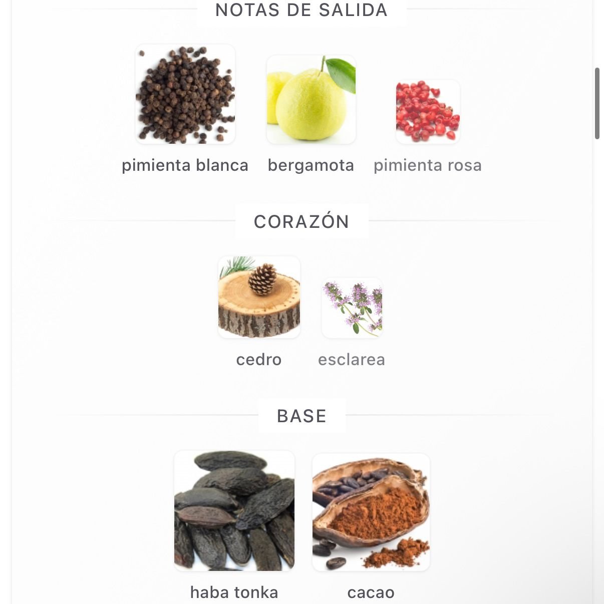 PERFUME CAROLINA HERRERA BAD BOY EDT MASCULINO 100ML - Image 4