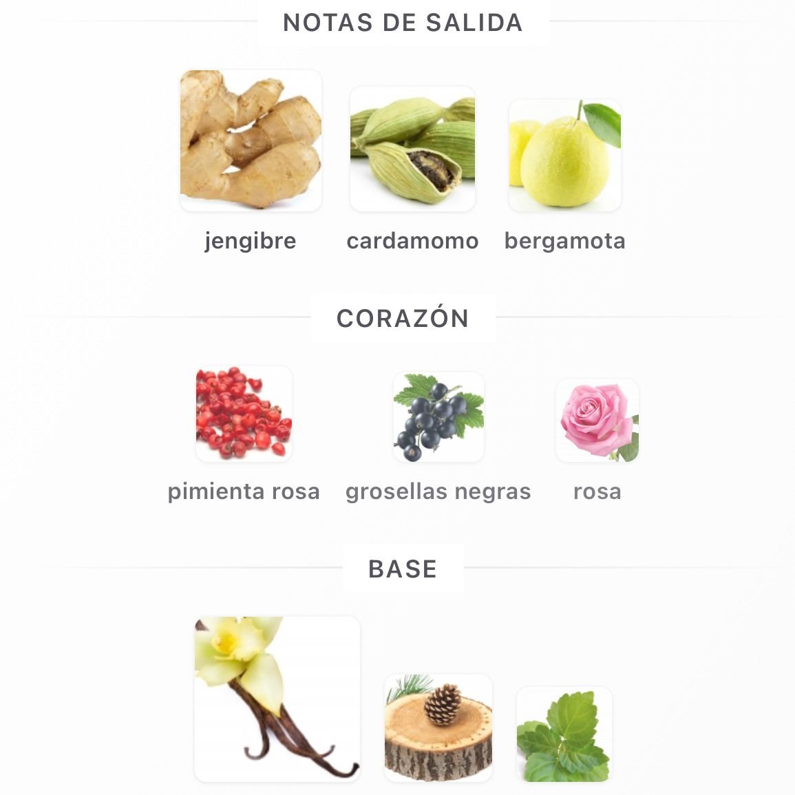 PERFUME FRENCH AVENUE SPECTRE GHOST EDP MASCULINO 100ML - Image 4