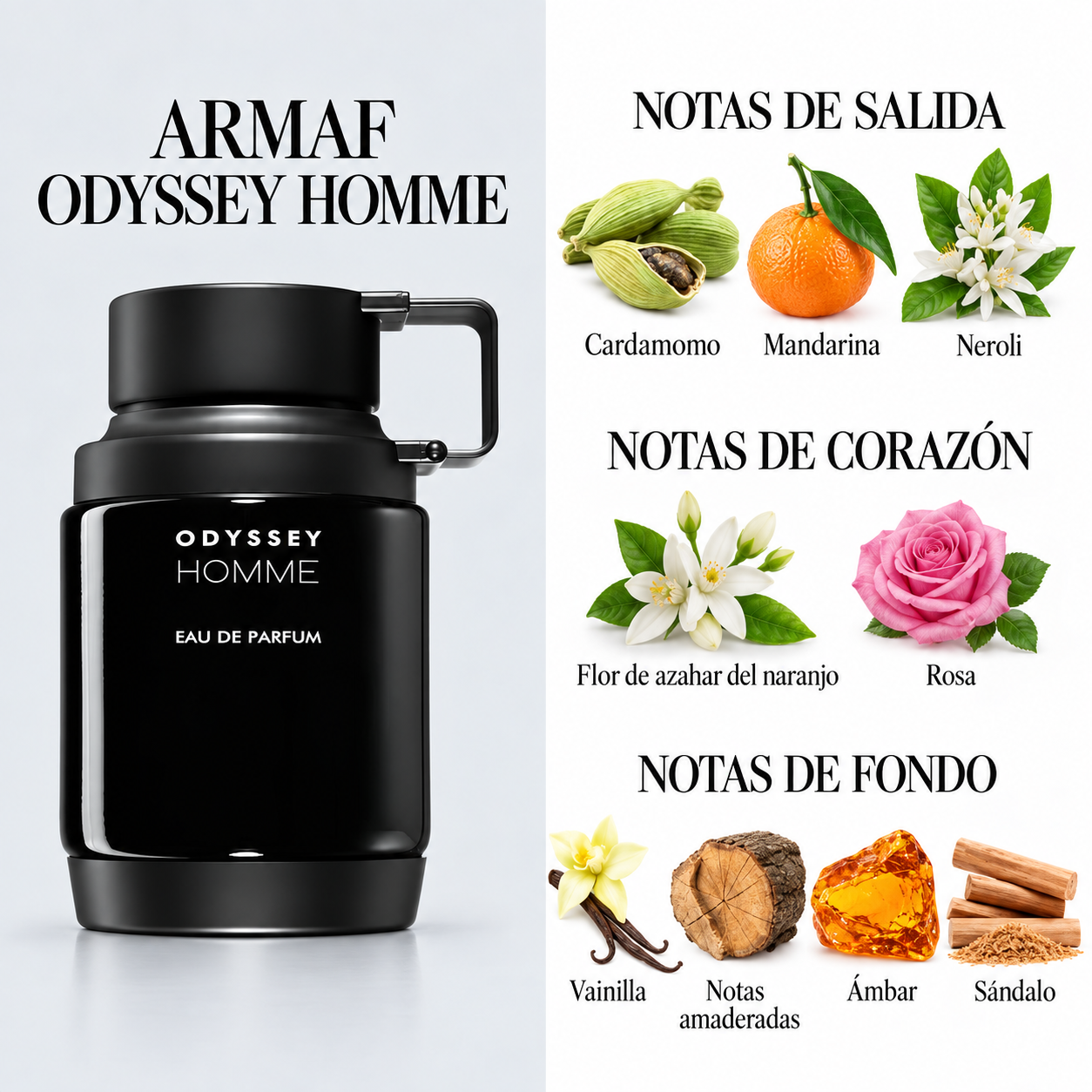 PERFUME ARMAF ODYSSEY HOMME BLACK MASCULINO EDP 100ML - Image 3