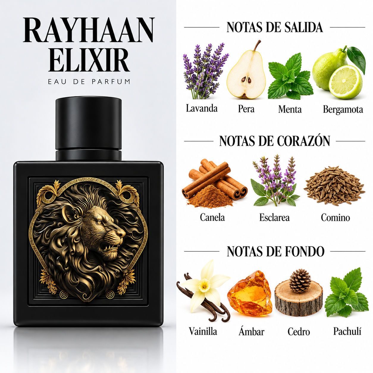 PERFUME RAYHAAN LION MEN EDP MASCULINO 100ML - Image 3